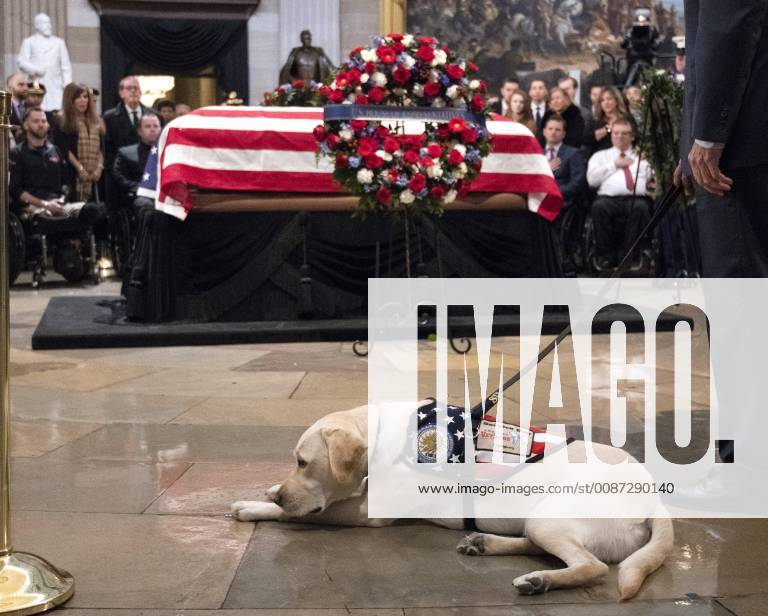 Sully, the service dog for former President George H. W. Bush, rests in front of the coffin as the 41st president lies in state at the U.S. Capitol Rotunda, in Washington, D.C. on December 4, 2018. There will be a State Funeral at the National Cathedral on Wednesday, December 5, 2018. WAP20181204122 PATxBENIC