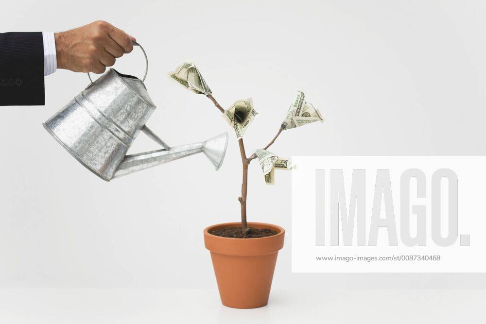 Businessman watering potted money tree, cropped