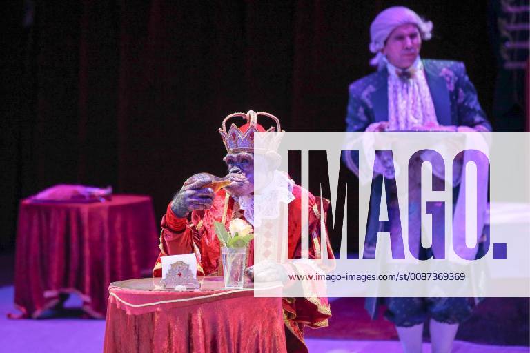 ST PETERSBURG, RUSSIA â€“ DECEMBER 7, 2018: A performance at a festival of the world s best clowns at the Bolshoi St Petersburg State Circus. Peter Kovalev TASS TS09A588