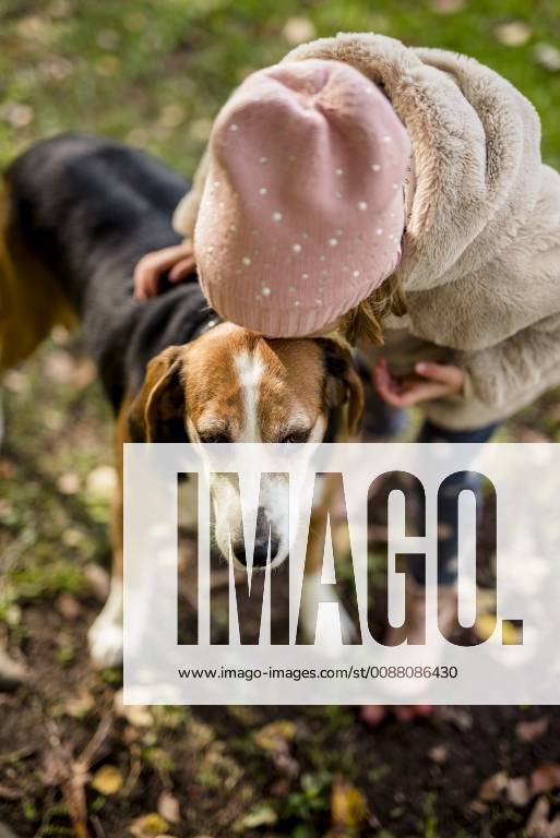 Little girl kissing dog in autumnal garden model released Symbolfoto property released PSIF00125