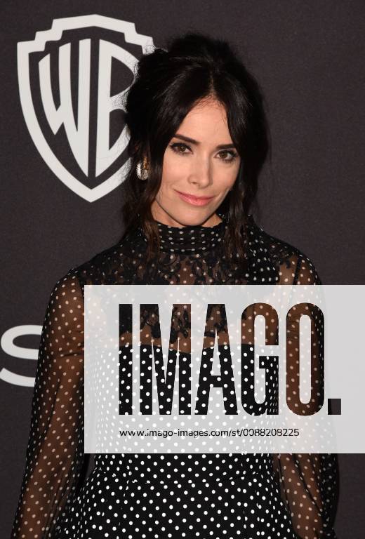LOS ANGELES, CALIFORNIA - JANUARY 06: Abigail Spencer attends the Warner InStyle Golden Globes After Party at the Beverly Hilton Hotel on January 06, 2019 in Beverly Hills, California. Photo: imageSPACE MediaPunch