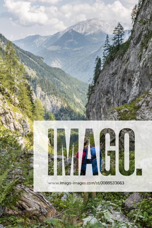 Hiker on a hiking trail View of mountains Saugasse Hiking trail to Königssee and Kärlinger Haus National Park Berchtesgaden Bavaria Germany Europe