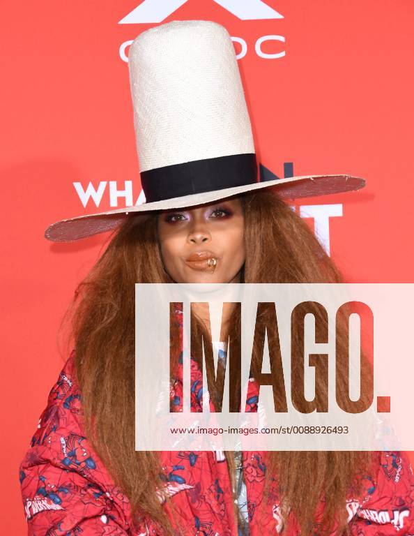 Westwood, California - Eryka Badu. What Men Want Los Angeles Premiere held at Regency Village Theater Photo Credit: Birdie Thompson AdMedia 234656 2019-01-28 CA Westwood Etats-Unis