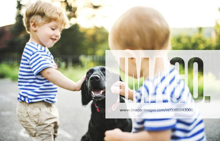 Toddler and his little sister stroking dog outdoors model released Symbolfoto property released HAPF02788