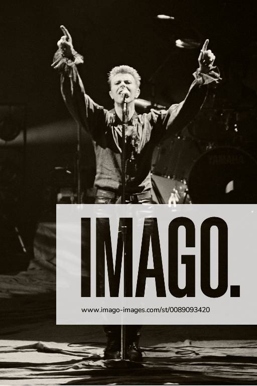 David Bowie live at the Rockpalast Open Air Festival on the open air stage Loreley Sankt Goarshausen 22 06 1996 Foto:xI.xEdingerx xFuturexImage