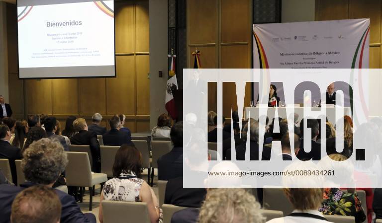Ambassador of Belgium to Mexico, Antoine Evrard pictured a briefing after the arrival of the Belgian delegation in Mexico city, Sunday 17 February 2019. Several federal and regional ministers accompany the princess on a economic mission to Mexico from 17 to 24 February. ERICxLALMAND 05532823