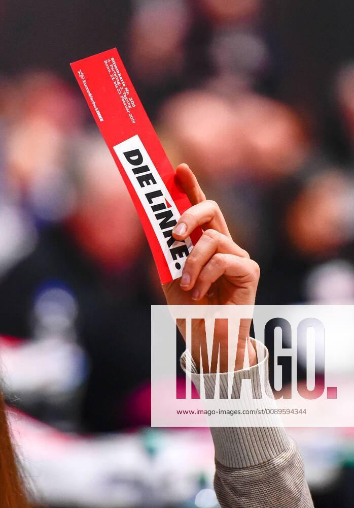 Germany Bonn 23 02 2019 Voting at the European Parliament Conference The Left Federal Party Conference on the European Left Election
