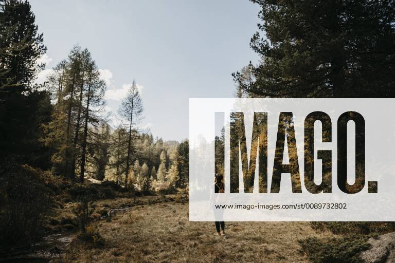 Switzerland, Engadin, woman on a hiking trip in forest model released Symbolfoto LHPF00130
