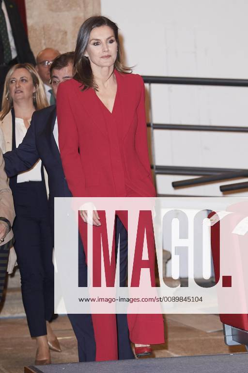 Madrid Queen Letizia during the award ceremony of the ‘’Princess of Girona 2019 foundation prize’’ in the category ‘’social’’ at the Complejo cultural San Francisco in Caceres. No Spain