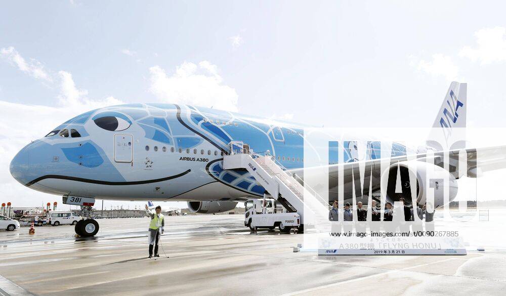 Airbus A380 turtle plane A double-deck Airbus A380 plane featuring a turtle face design arrives at Narita airport near Tokyo on March 21, 2019, from France for All Nippon Airways to operate on the Narita-Honolulu route.
