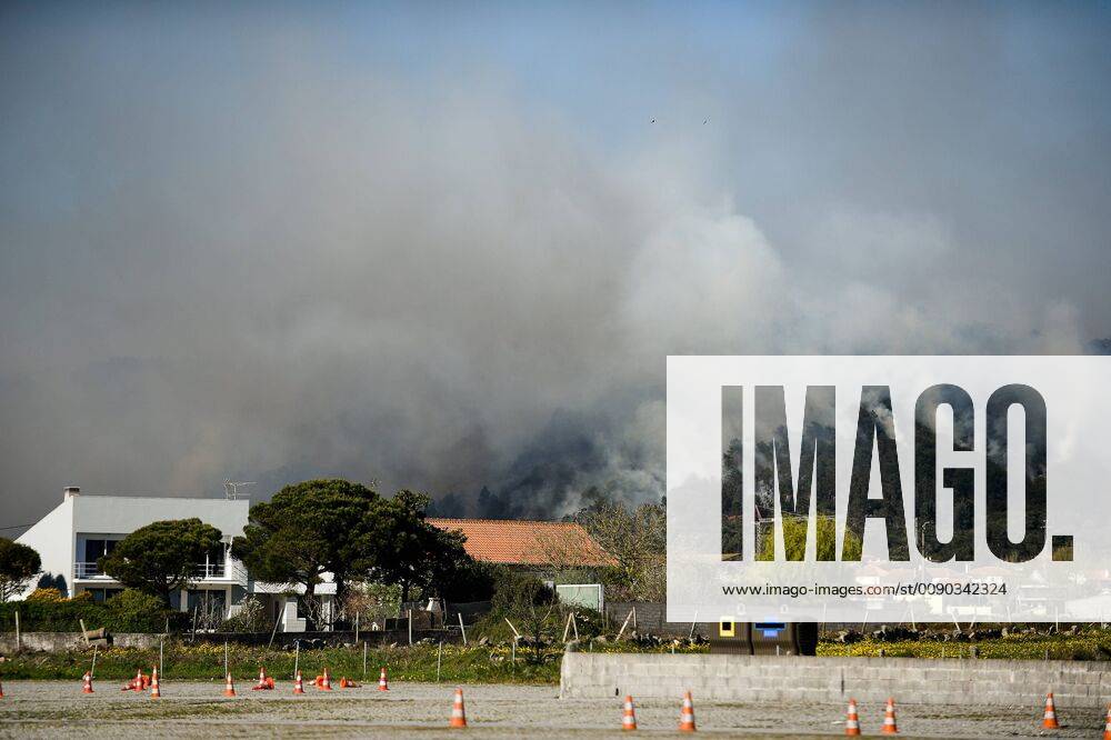 Esposende, Portugal - Smoke seen coming from a burning forest due to a wildfire that resulted from warm temperatures during Spring, 20 km from Viana do Castelo. Esposende Portugal - ZUMAs197 20190326_zaa_s197_120