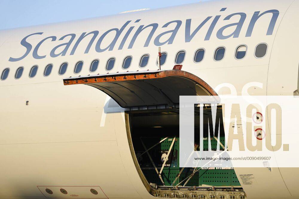 ZOOs pandas land in Vilhelm Lauritzen Terminal at Copenhagen Airport Thursday, April 4, 2019,