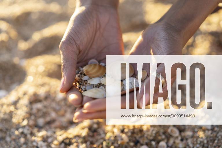 Woman collecting seashells on the beach model released Symbolfoto AFVF02145