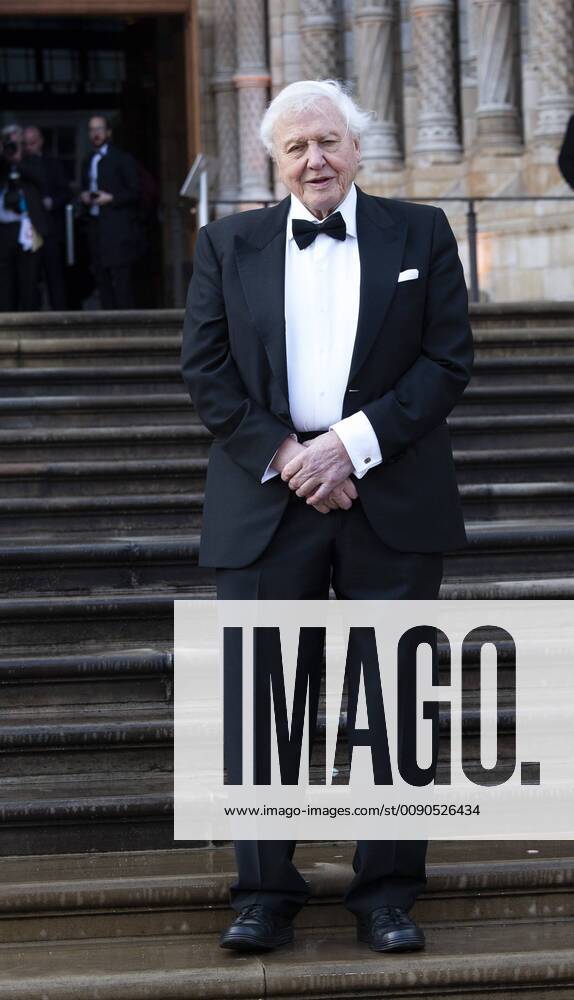 April 4 2019 London United Kingdom of Great Britain and Northern Ireland Sir David Attenborough arriving at the Global Premiere of Our Planet at the Natural History Museum on April 4 2019 in London London United Kingdom of Great Britain and Northern Ireland - ZUMAny1_ 20190404_zaf_ny1_182