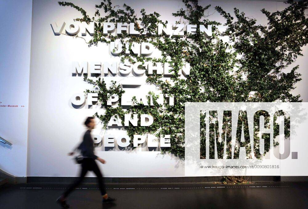 On Friday 19 04 2019, the Deutsche Hygiene Museum Dresden invites you to a tour of the green planet with a photo from 18 04 2019 The new exhibition is dedicated to the ambivalent relationship between man and the world of plants. The museum shared on Thursday with For the first time in the European museum landscape,