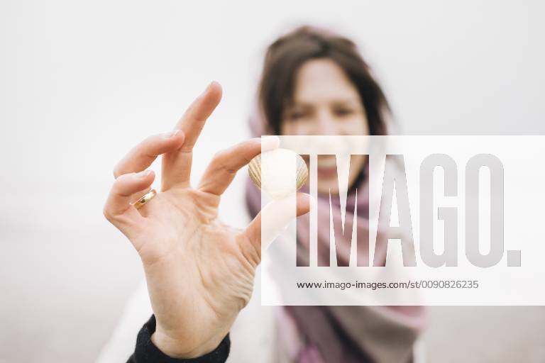 Woman s hand holding collected shell, close-up model released Symbolfoto KMKF00754