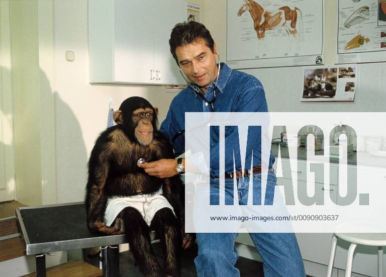 UNSER CHARLY Kleiner Affe - große Liebe D 1995 Dr. Martin (RALPH SCHICHA) und sein neuer Patient, ein kleiner Schimpanse. Überschrift: UNSER CHARLY D 1995