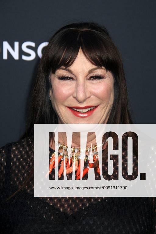 Anjelica Huston at the John Wick Chapter 3 movie premiere on 15 05 2019 in Hollywood, Los Angeles John Wick Chapter 3 movie premiere in Los Angeles