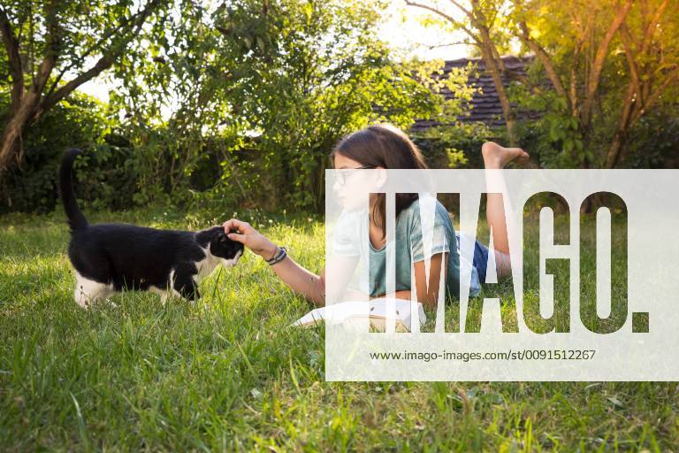 Girl with book lying on a meadow in garden tickling cat model released Symbolfoto property released LVF07896
