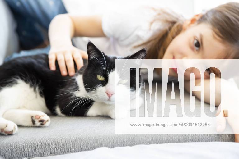 Little girl lying on couch with cat model released Symbolfoto property released LVF07928