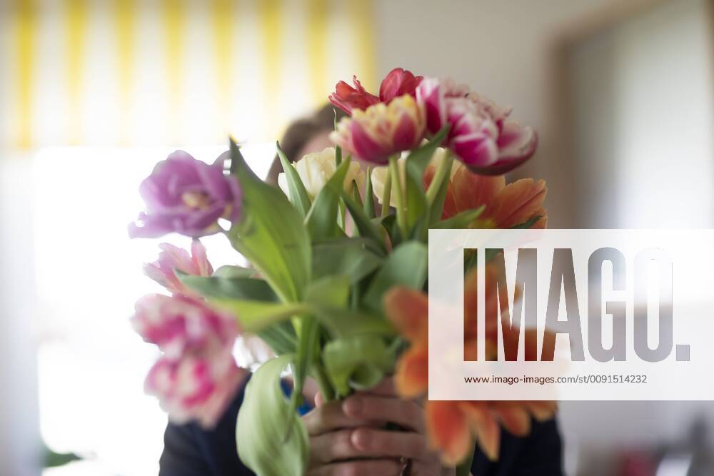 Woman hiding behind bunch of tulips model released Symbolfoto property released SGF02348