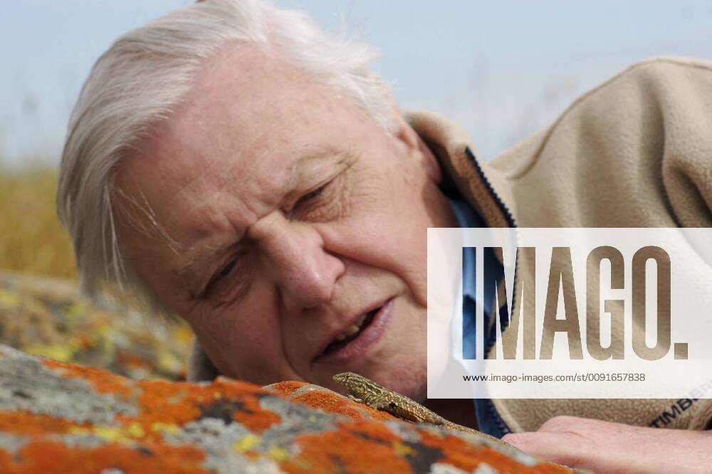 IMAGO ICONS: Sir David Attenborough PRESENTER Sir David Attenborough watching a Side blotched lizard (Uta stansburiana) on rock, Santa Nella, California, USA. For BBC television series Life in Cold Blood , April 2006 1285693 JamesxBrickell