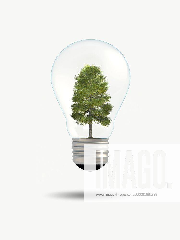 3D-Computergrafik, Baum in einer alten Gluehbirne - Energiesparen 3D computer graphic, tree within an old fashion light ball - energy saving BLWS532621