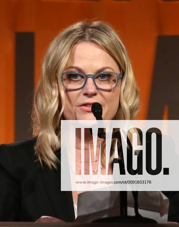 BEVERLY HILLS, CA - JUNE 12: Amy Poehler, at the 2019 Women In Film Annual Gala_Inside at the Beverly Hilton Hotel in Beverly Hills, California on June 12, 2019.