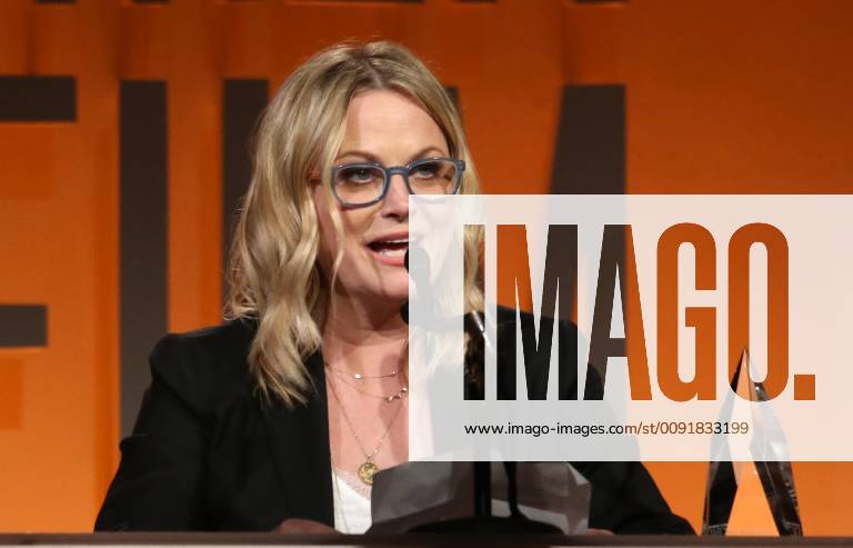 BEVERLY HILLS, CA - JUNE 12: Amy Poehler, at the 2019 Women In Film Annual Gala_Inside at the Beverly Hilton Hotel in Beverly Hills, California on June 12, 2019.