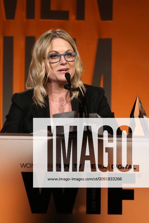 BEVERLY HILLS, CA - JUNE 12: Amy Poehler, at the 2019 Women In Film Annual Gala_Inside at the Beverly Hilton Hotel in Beverly Hills, California on June 12, 2019.