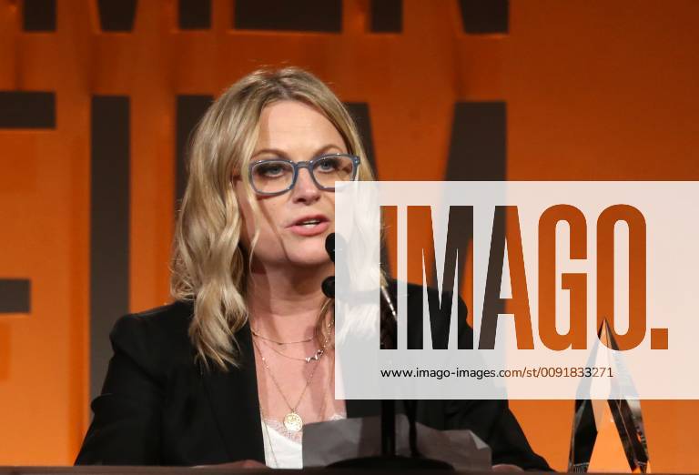 BEVERLY HILLS, CA - JUNE 12: Amy Poehler, at the 2019 Women In Film Annual Gala_Inside at the Beverly Hilton Hotel in Beverly Hills, California on June 12, 2019.