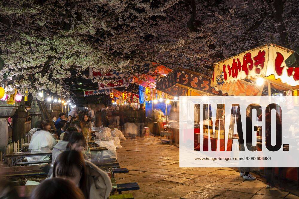 Food stands with Japanese food at night, cherry blossom in spring, Hanami Fest, Ueno Park, Taito City, Tokyo, Japan, Asia