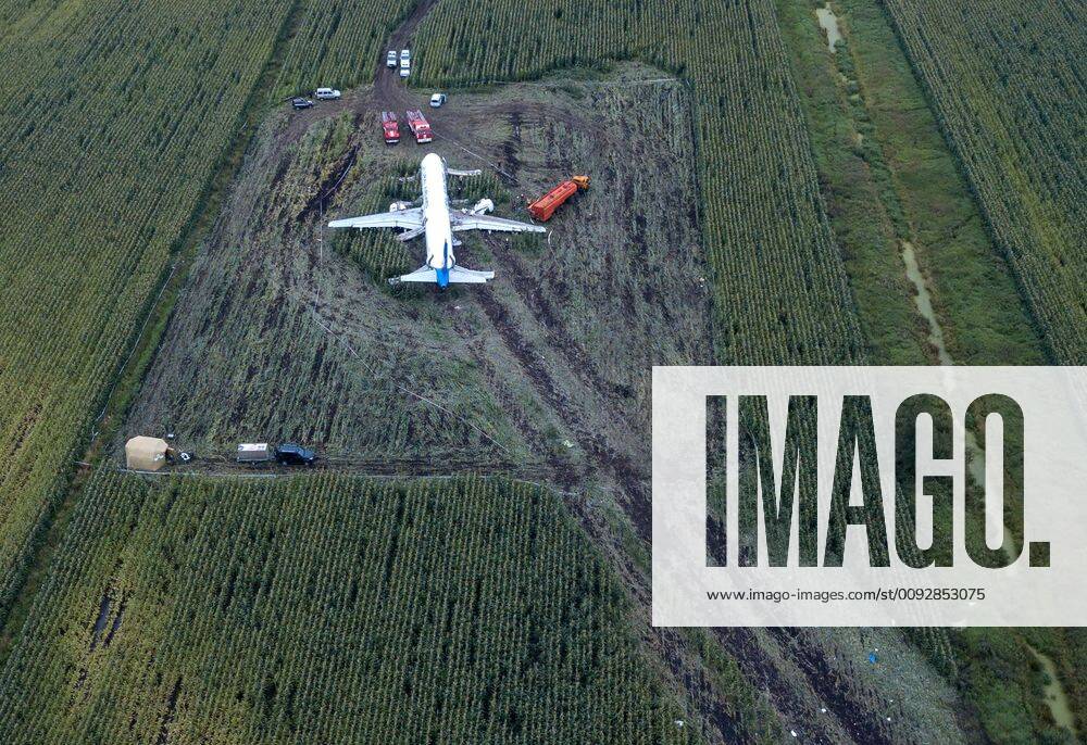 An aerial view of the Ural Airlines Airbus A321 plane in a cornfield near Zhukovsky International Airport. The aircraft bound for Simferopol made an emergency landing due to an engine fire on August 15, 2019. Dmitry Golubovich TASS TS0B6B72