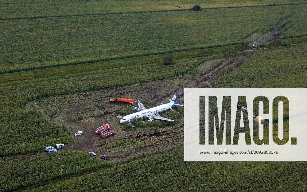 An aerial view of the Ural Airlines Airbus A321 plane in a cornfield near Zhukovsky International Airport. The aircraft bound for Simferopol made an emergency landing due to an engine fire on August 15, 2019. Dmitry Golubovich TASS TS0B6B73