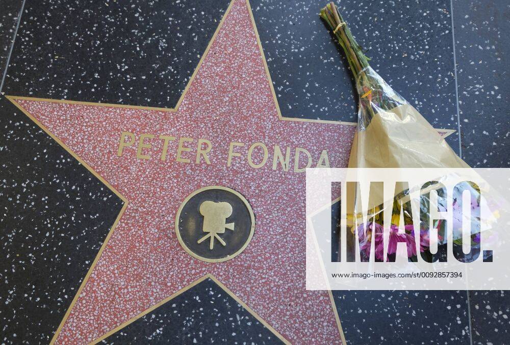 Los Angeles, California, U.S: Flowers are placed at the star of Peter Fonda on the Hollywood Walk of Fame, Friday, Aug. 16, 2019, in Los Angeles. Los Angeles U.S. - ZUMAc68_ 20190816_zaf_c68_011