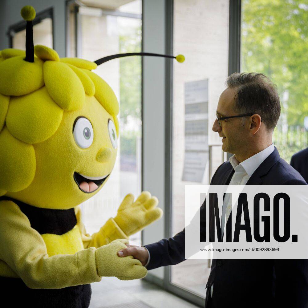 Federal Foreign Minister Heiko Maas, SPD, takes part in Foreign Office Open Day, 18 08 2019 Germany
