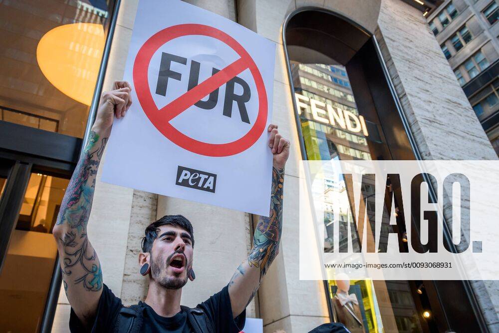 Animal Liberation activists targeted luxury fashion brands DIOR, FENDI, and D&G retail stores in New York on August 25, 2019 closing out the Official Animal Rights March weekend by sending a loud and powerful message to fur peddlers in NYC demanding they stop selling real fur and to stop killing animals for their fur. USA - ZUMAm432 20190825_znp_m432_016