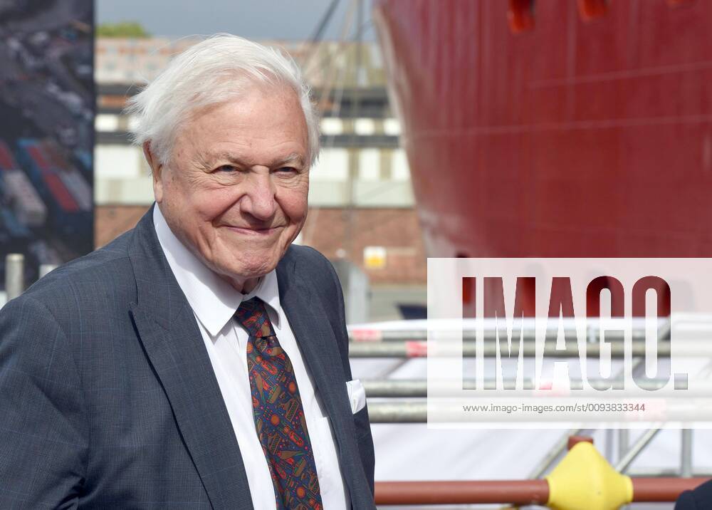 IMAGO ICONS: Sir David Attenborough 26 09 2019 - Sir David Attenborough, during the naming ceremony of Britain s new polar research ship, the RRS Sir David Attenborough at Camel Laird Shipyard in Birkenhead, Merseyside. Photo Credit: ALPR AdMedia 245612 2019-09-26 Merseyside Birkenhead Royaume Uni
