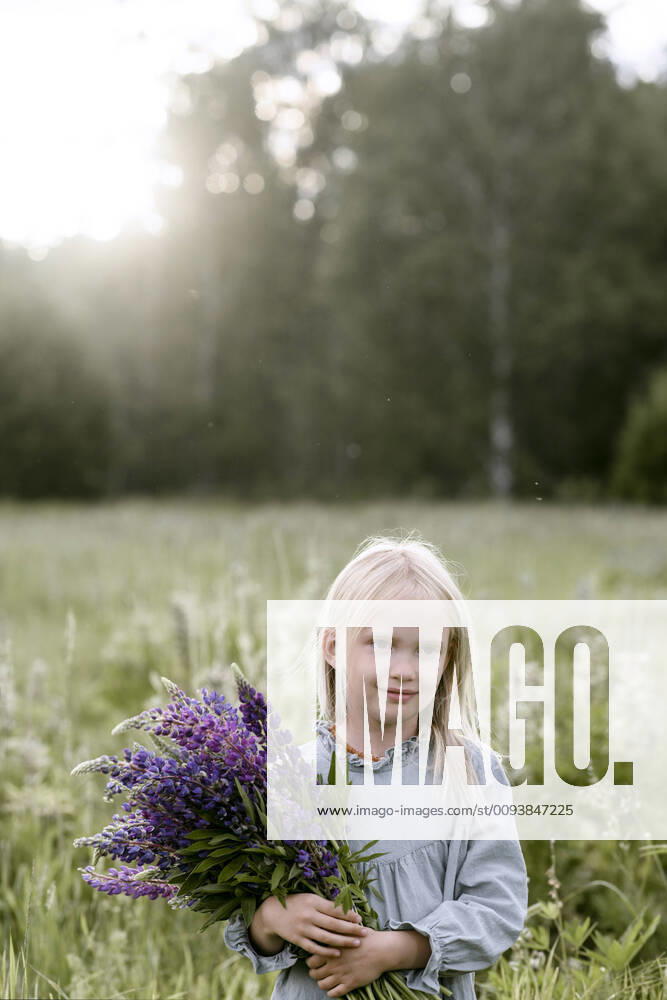Portrait of blond little girl with bunch of lupines on a meadow model released Symbolfoto EYAF00475