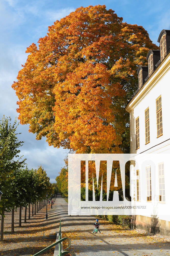 (191012) -- STOCKHOLM, Oct. 12, 2019 -- Tourists visit the Baroque Garden of Drottningholm Palace in Stockholm County, Sweden, Oct. 11, 2019. ) SWEDEN-STOCKHOLM-AUTUMN ZhengxHuansong