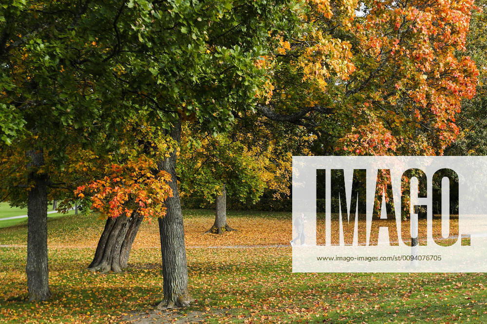 (191012) -- STOCKHOLM, Oct. 12, 2019 -- Tourists walk in the Baroque Garden of Drottningholm Palace in Stockholm County, Sweden, Oct. 11, 2019. ) SWEDEN-STOCKHOLM-AUTUMN ZhengxHuansong