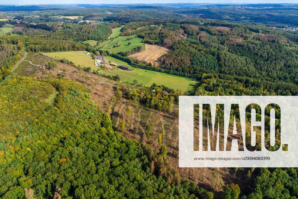 Aerial photo, Forest area, Am Hexenteich, Menden, North Rhine Westphalia, Germany ACHTUNGxMINDESTHONORARx60xEURO