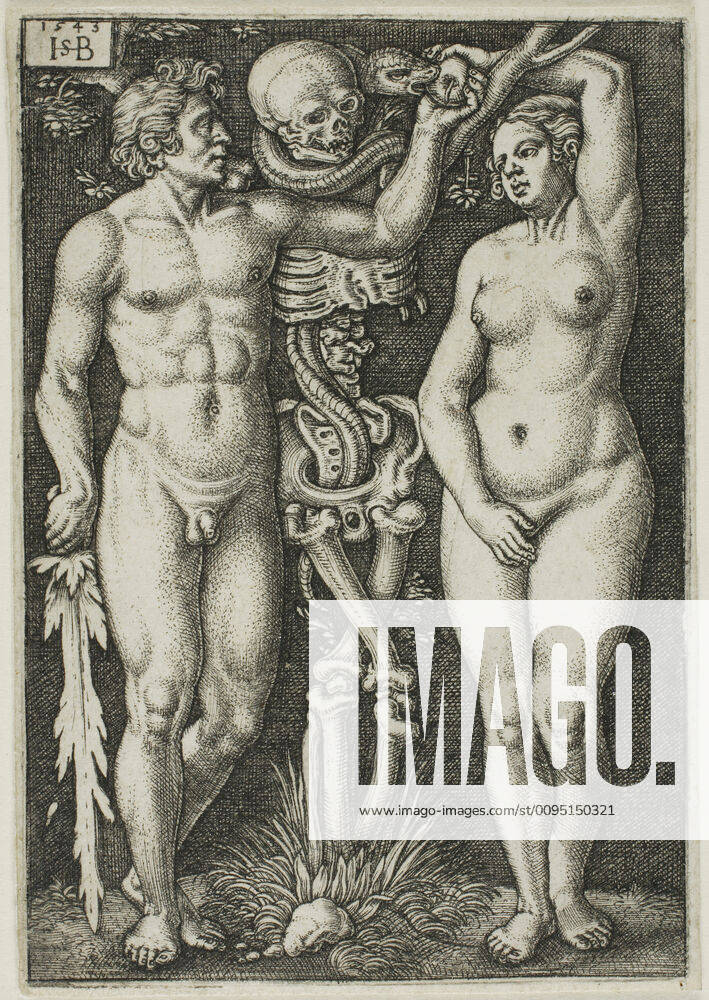 Adam and Eve, 1543, Sebald Beham (German, 1500-1550), after Barthel Beham (German, 1502-1540), Germany, Engraving in black on ivory laid paper, 82 x 57 mm (image plate), 84 x 58 mm (sheet) Copyright Artokoloro LC190917_004651