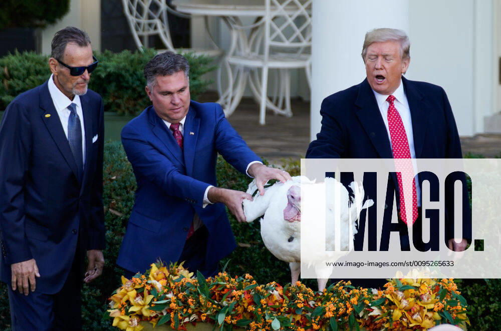 President Donald Trump (R) pardons Butter the National Thanksgiving Turkey, as turkey farmer Wellie Jackson ranges the bird, during the annual Thanksgiving ceremony at the White House in Washington, DC on Tuesday, November 26, 2019. President Trump also pardoned an alternate turkey names Bread. Following today s event, both turkeys will spend the rest of their lives at Gobblers Rest on the campus of Virginia Tech. WAP20191126308 KEVINxDIETSCH