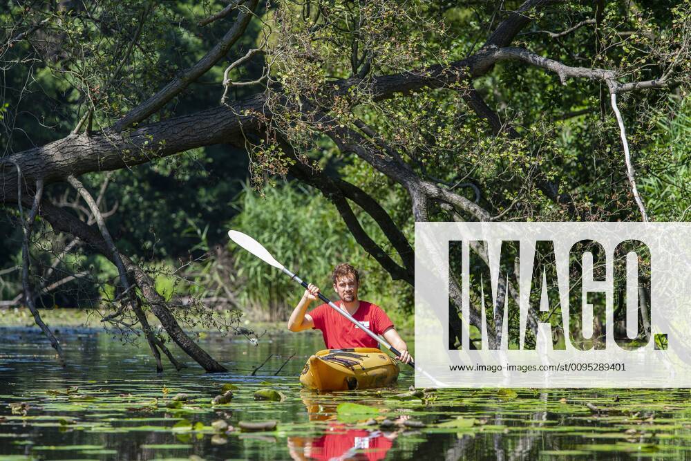 Paddler in a kayak on the Müggelspree, river Spree, between Fürstenwalde and Hangelsberg, Brandenburg, Germany, Europe