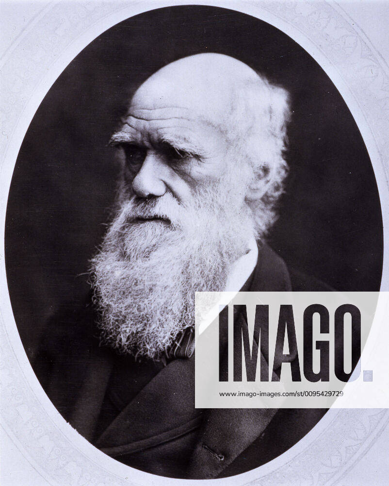 Darwin Portrait Portrait Medallion portrait of Charles DARWIN 1809 1882 Anonymous photograph circa 1880 Credit Collection CL KHARBINE TAPABOR KH47259