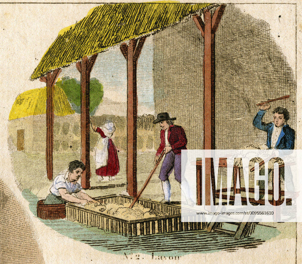 WOOL Wool in the wash-house Anonymous lithography from 1825 from the Industrial Gallery or application of the products of nature to the Arts and Crafts Craftsmens series at the beginning of the 19th century in France Credit Collection IM KHARBINE TAPABOR KH176734