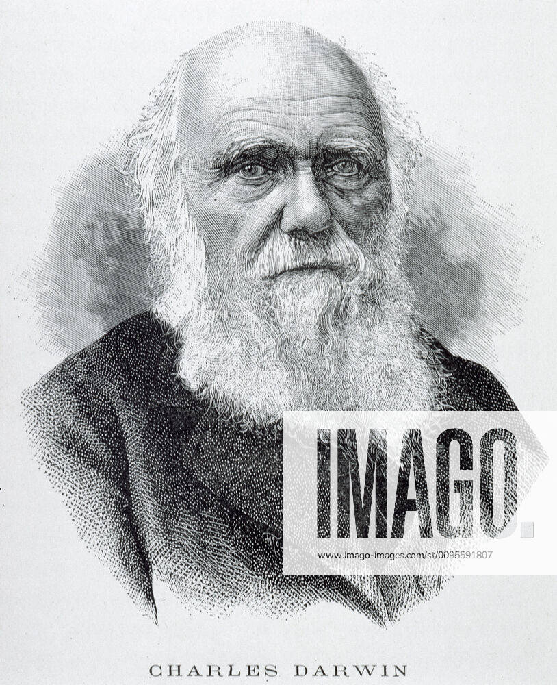DARWIN Portrait of Charles DARWIN 1809 1882 Anonymous Ilustration of 1891 for the Naturalist Gallery by J PIZETTA Credit Coll BHVP Grob KHARBINE TAPABOR KH48156