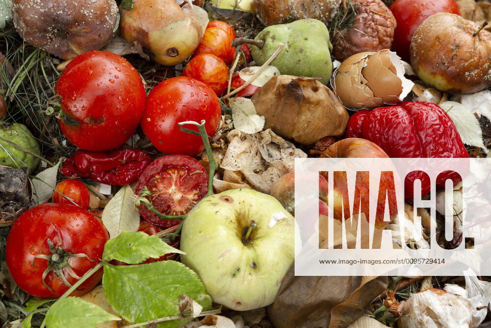 Disposed food, organic waste 1065518337