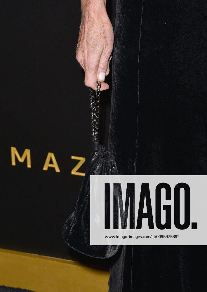 BEVERLY HILLS, CALIFORNIA - JANUARY 05: Minnie Driver, Purse Detail attends the Amazon Studios Golden Globes After Party at The Beverly Hilton Hotel on January 05, 2020 in Beverly Hills, California. Photo: imageSPACE MediaPunch